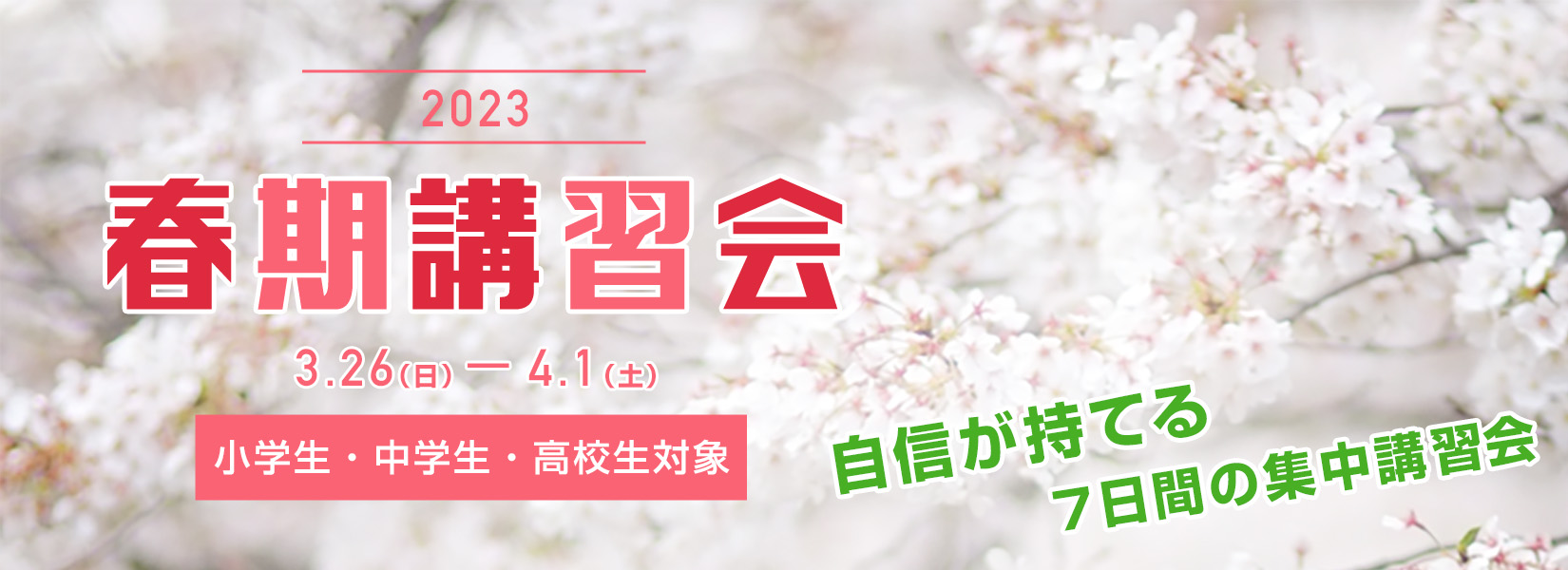 春期講習